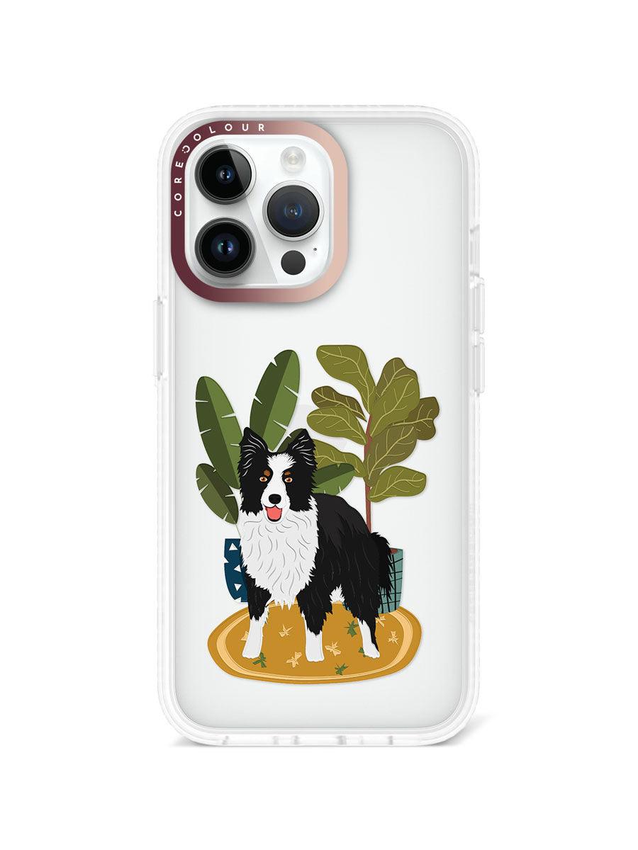 iPhone 13 Pro Border Collie Phone Case - CORECOLOUR AU